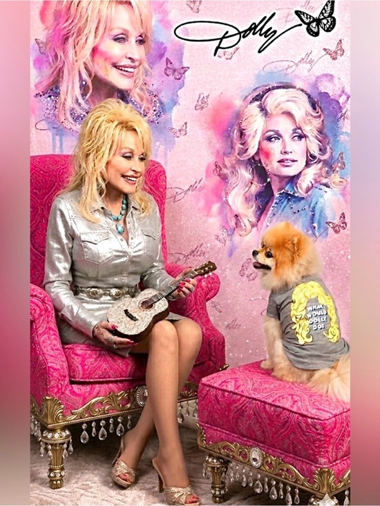 Doggy Parton Other - Doggy Parton What Would Dolly Do? T Shirt Gray
